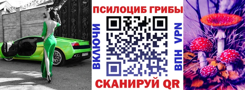 гидра онион  Десногорск  Галлюциногенные грибы мицелий 