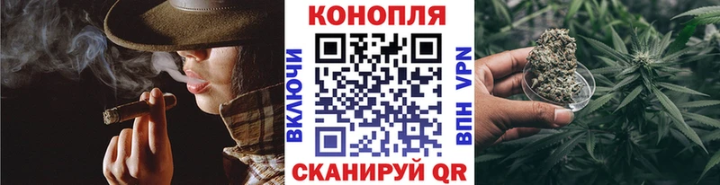 закладки  Десногорск  Бошки марихуана сатива 